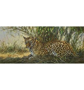Bahati, Taking Watch