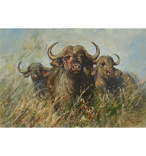 The Herd