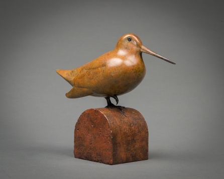 Woodcock