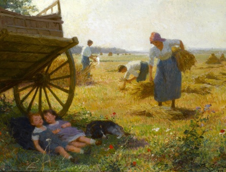 The Harvest