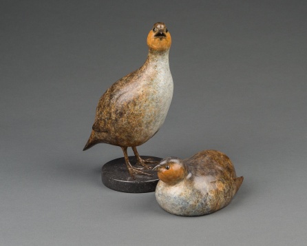 Standing Partridge