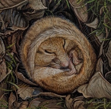 Field Mouse