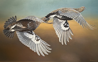 Flying Grouse
