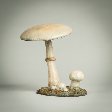 Horse Mushroom