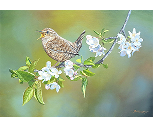 Joys of Spring