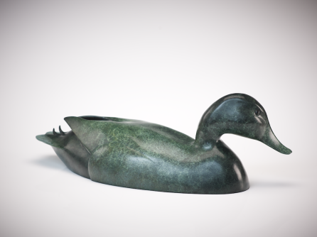 Mallard Drake