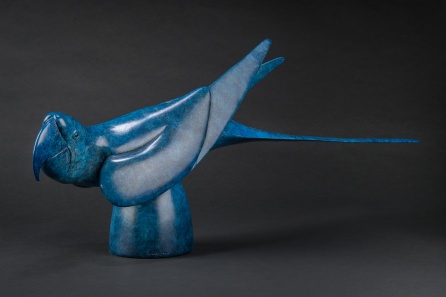 Macaw