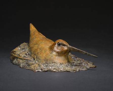 Nesting Woodcock