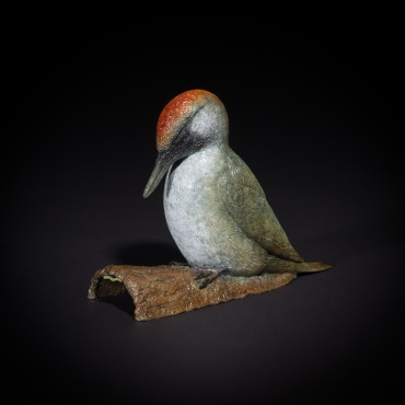 Woodpecker