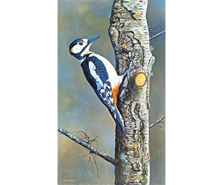 The Tree Surgeon