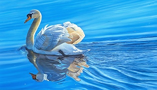 Swan Lake