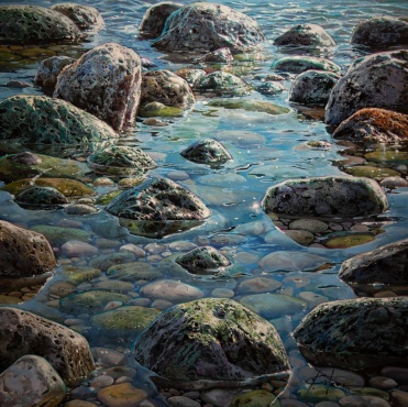 The Water's Surface