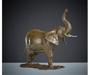 Elephant 