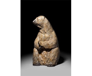 Maximus - Ursus Maritimus