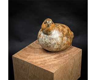 Perching Partridge