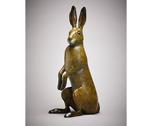 Seated Hare