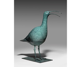 Calling Curlew 