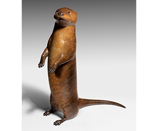 Otter Pup