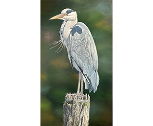 Old Nog the Heron