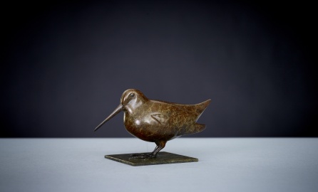 Woodcock Standing 