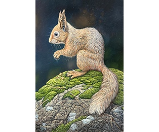 Woodland Picnic