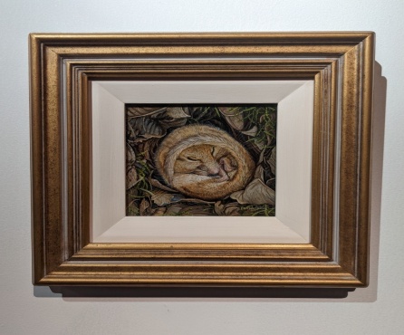 Field Mouse