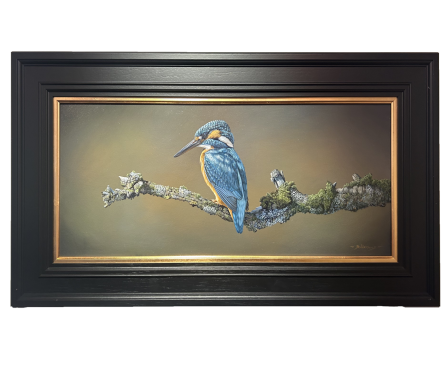 A Moments Rest- Kingfisher
