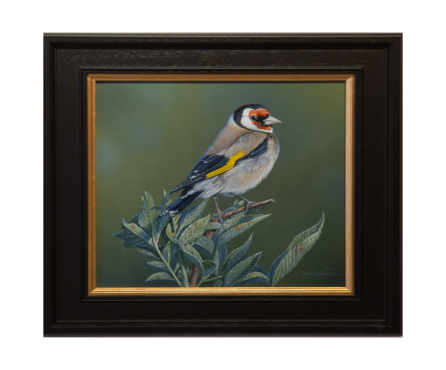 Goldfinch Study