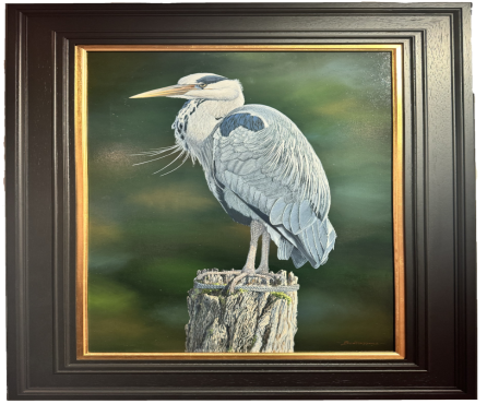 Old Nog the Heron