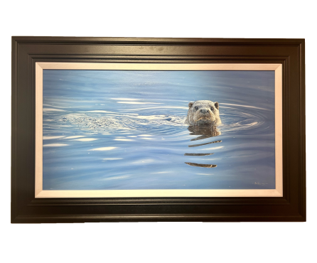 Reflections- otter