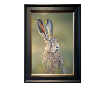 Alert Hare