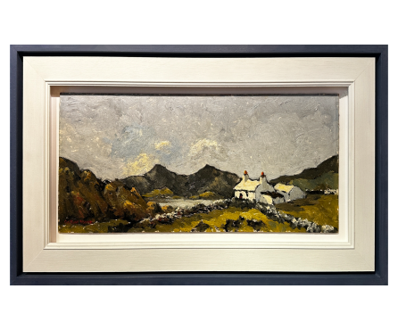 Cottage Near Snowdon