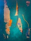Abstract Composition