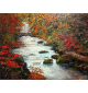 Autumn Flow