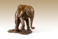 Baby Elephant 