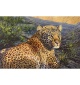 Bahati, Sun Down