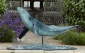 Majestic Humpback Whale