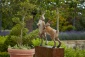 Boxing Hares Plinth