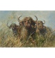 The Herd