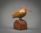 Woodcock