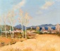 The Golden Hues of Provence