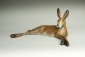 Lying Hare