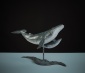 Whale & Calf