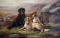 After The Hunt I