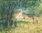A Summer's Afternoon