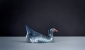 Moorhen
