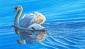 Swan Lake