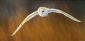 In Flight II