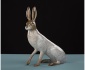 Arctic Hare 