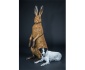 Majestic Hare
